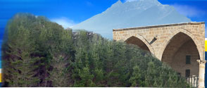 www.nicosiahotels.com image